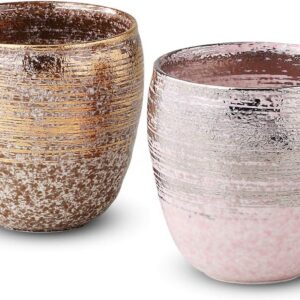 有田燒｜雅刷毛金銀燒酒杯組